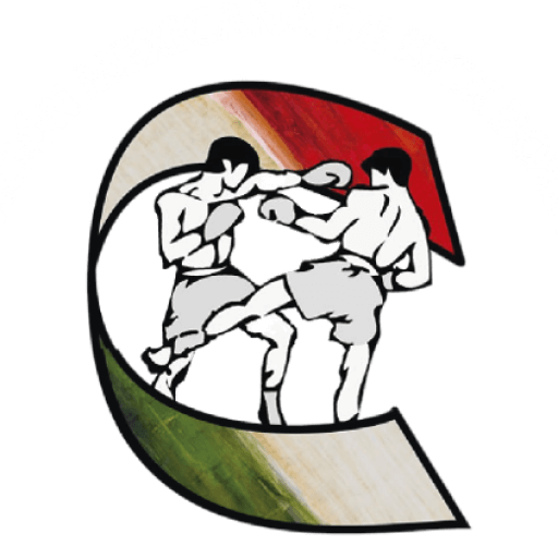 Federación Mexicana de Boxeo
